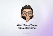 Wordpress Tema Türkçeleştirme